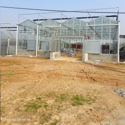 紅安苕業玻璃溫室大棚