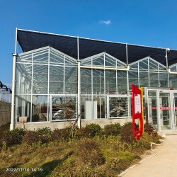 膠南紅安苕業玻璃溫室大棚