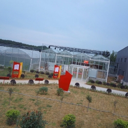 雞西紅安苕業玻璃溫室大棚