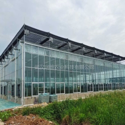 馬爾康省農科院玻璃溫室大棚