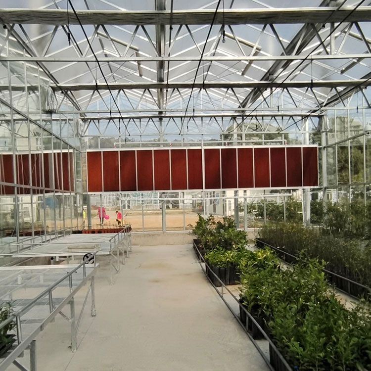 華農玻璃溫室大棚